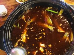 -金海椒罐罐鲢鱼(东方桂苑店)