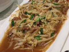 -丁老爷子苏香圆