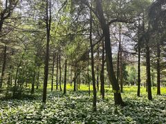 -黑龙江省森林植物园
