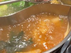 -掂档潮汕牛肉火锅(沈阳万象城店)
