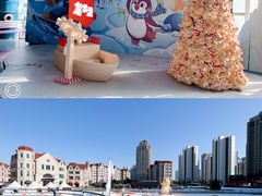 -海合安天津极地海洋公园