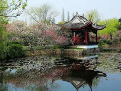 -无锡蠡湖国家湿地公园-蠡园