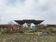 -上海长兴岛郊野公园