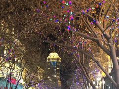 -人民防洪胜利纪念塔