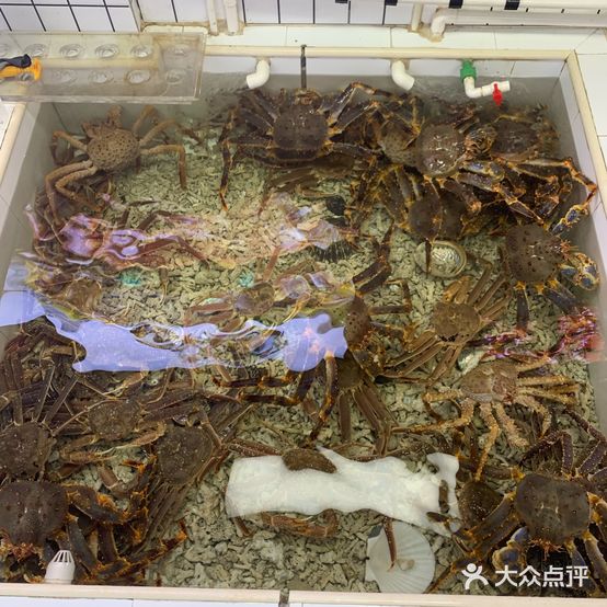 水惑渔市(国贸天琴湾天悦店)