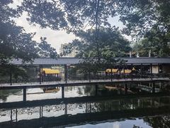 -荔湾湖公园