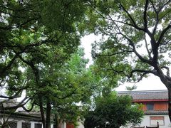 -绍兴鲁迅故里·沈园景区