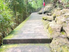-南山植物园