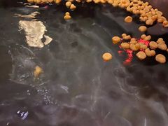 -美的鹭湖森林度假区