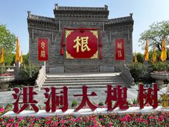 -大槐树寻根祭祖园