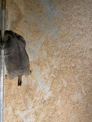 -酷嗒动物文化乐园(cutezoo西溪乐天城店)