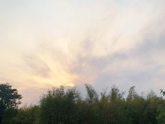 -厦门园林博览苑
