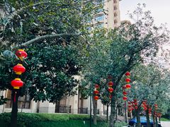 -上海浦东星河湾酒店