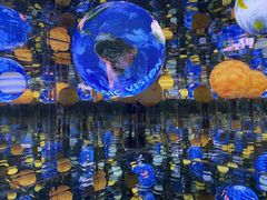 -深圳独角兽星空艺术馆