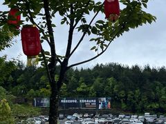 -梭布垭石林景区