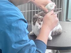 -嘉馨宠物医院·CT影像转诊·心脏科·犬猫全科诊疗中心(下沙大学城院区)