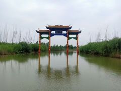 -泗洪洪泽湖湿地景区