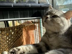 -平行世界·猫咖(首经贸店)