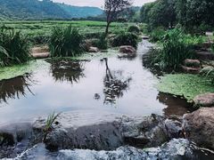 -中国茶叶博物馆(双峰馆区)
