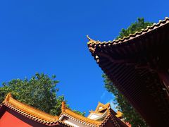 -深圳仙湖植物园