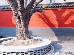 -西安市广仁寺