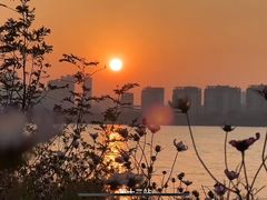 -艾溪湖湿地公园