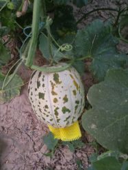 点击看大图 -悦家·美丽妈妈月子会所(龙奥店)