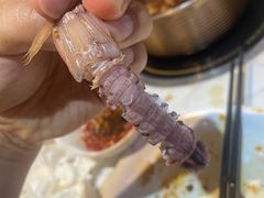 -半岛听涛蒸汽海鲜自助(K11店)