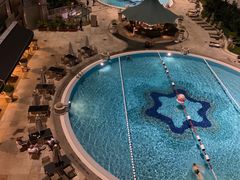 -新加坡瑞士史丹福酒店