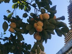 -北京石刻艺术博物馆(五塔寺)