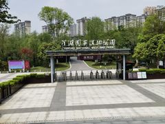 -洋湖国家湿地公园