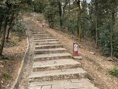 -岳麓山风景名胜区