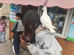 -天津妈祖文化园