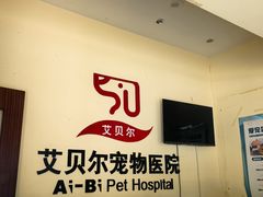 -艾贝尔宠物医院 ·内科全科(梁溪路店)
