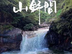 -黄山翡翠谷景区