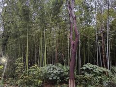 -苏州河梦清园环保主题公园