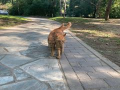 -徐家汇源景区-衡山公园