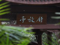 -大雅堂公园