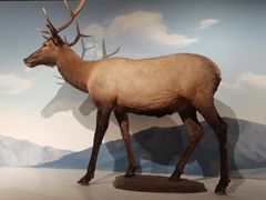 -陕西自然博物馆