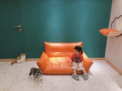 -飞行喵MR PILOT|猫舍·猫咖(静安大融城店)
