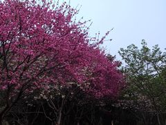 -堤角公园