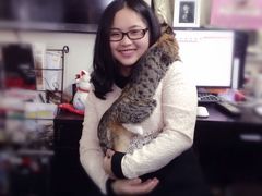 -A+摄影