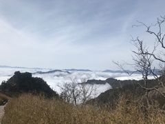 -朱雀国家森林公园