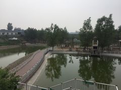 -北京鹿世界主题园