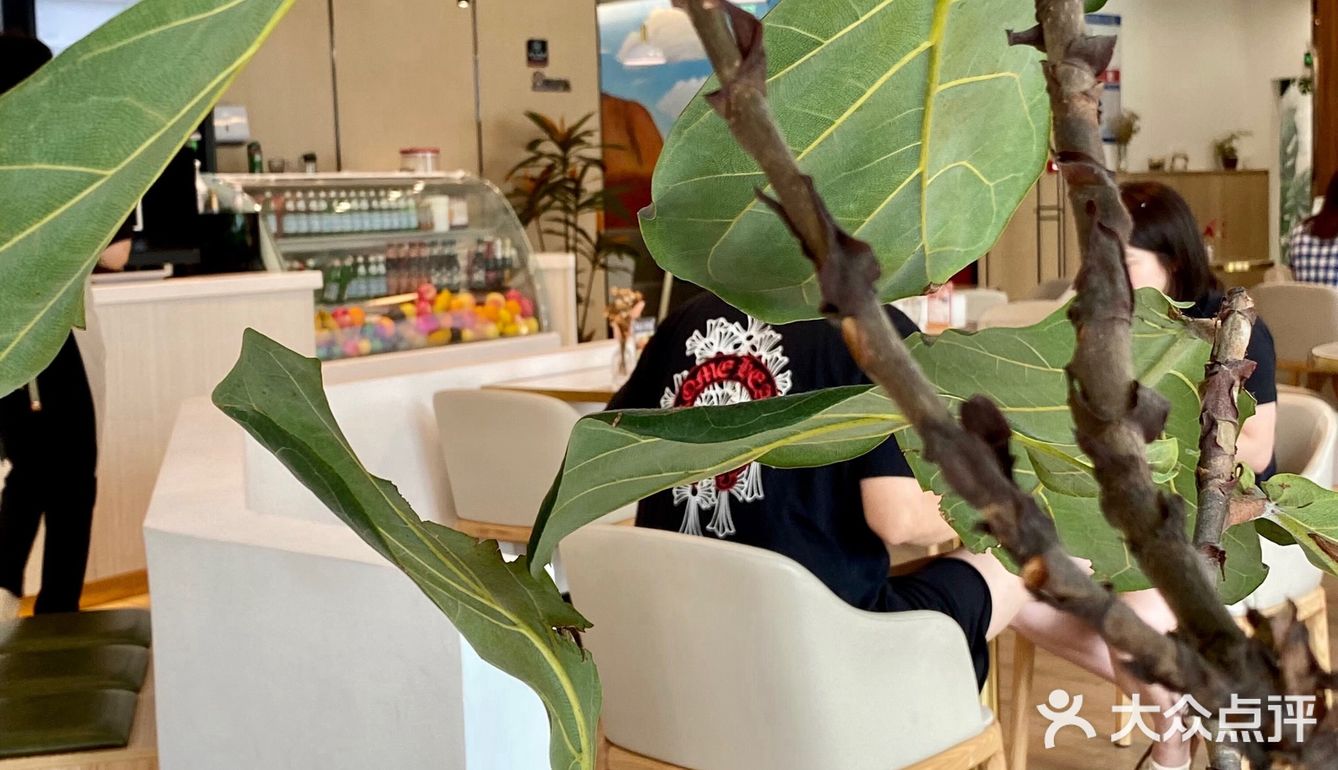 收藏很久终于打卡的网红brunch店