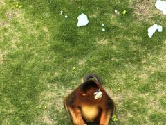 -西霞口神雕山野生动物世界