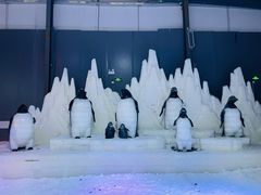 -宁波冰雪大世界(北仑区)