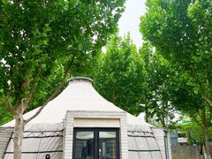 -九十九顶毡房(阜石路店)