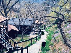 -北京水岸山吧度假村(雁栖镇店)