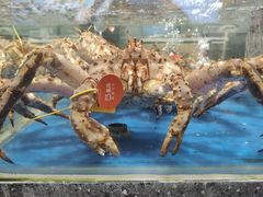 -盒马鲜生(顺义店)